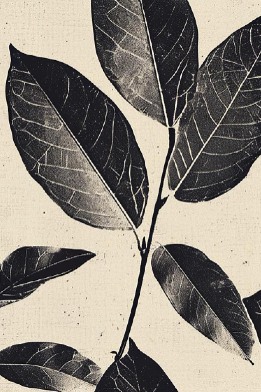 Winnipeg Agriculture Branding