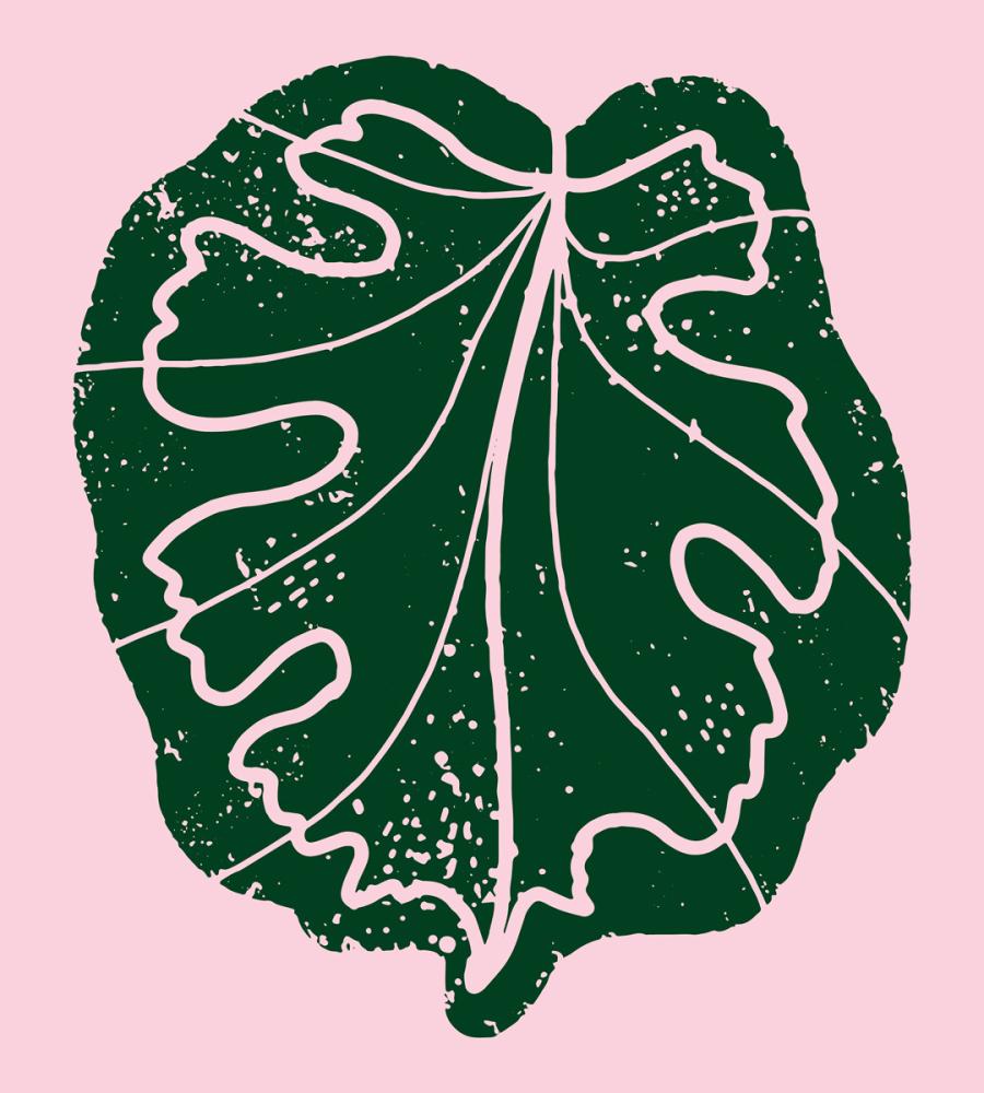 Winnipeg Agriculture Branding