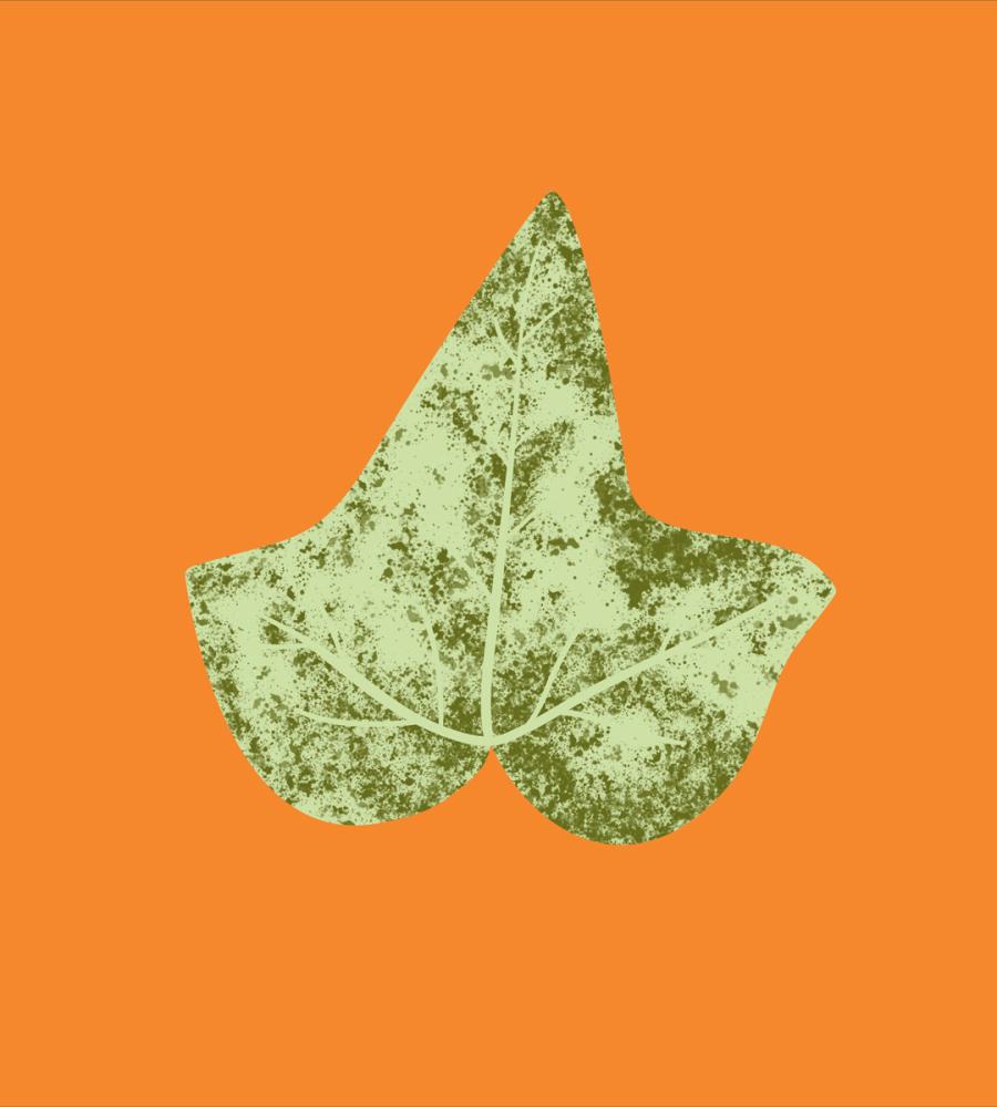 Winnipeg Agriculture Branding