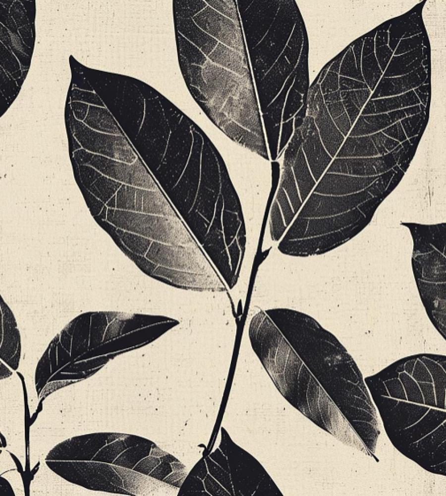 Winnipeg Agriculture Branding